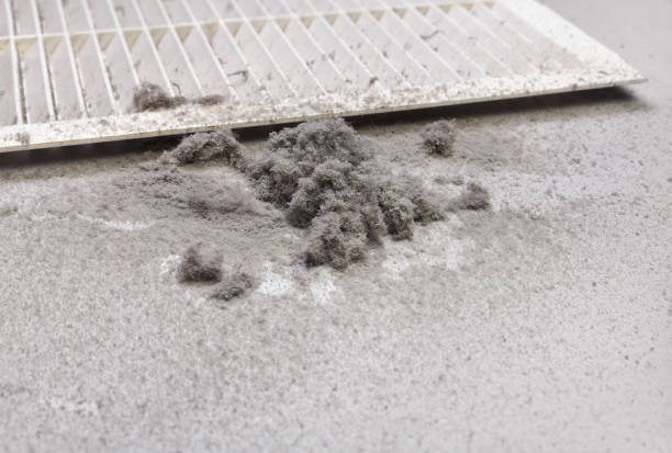 Best Duct Cleaning Specialists  in Lake Riverside, CA