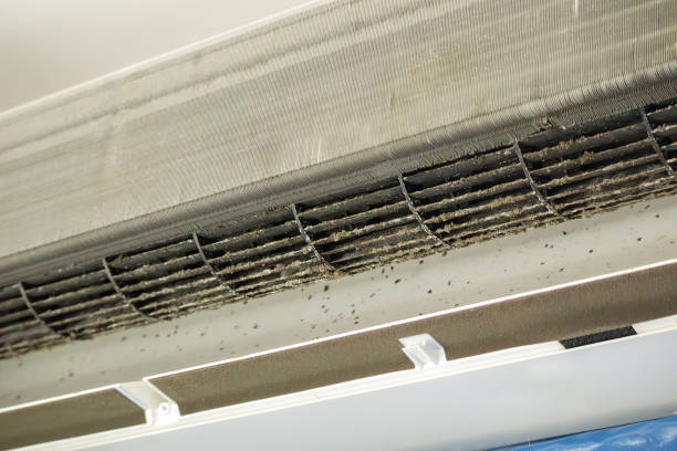 Best HVAC System Cleaning  in Lake Riverside, CA